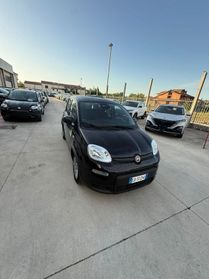 FIAT Panda NEW 1.0 70cv Hybrid PANDA