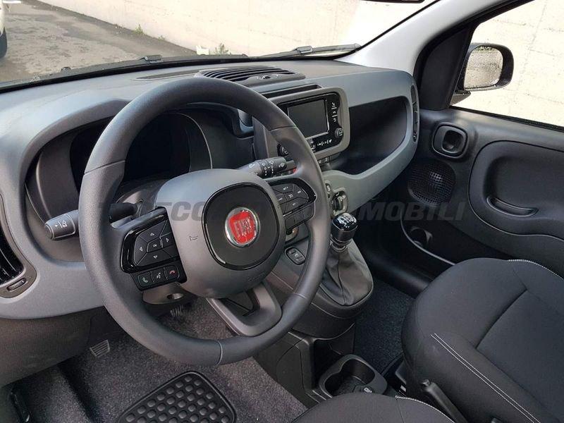 FIAT Panda Panda 1.0 firefly hybrid s&s 70cv