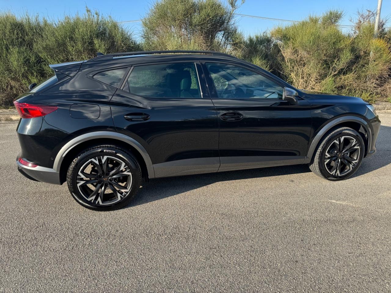 Cupra Formentor 2.0 TDI 4Drive DSG