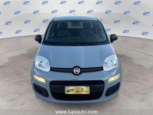 Fiat Panda 1.0 firefly hybrid s&s 70cv 5p.ti