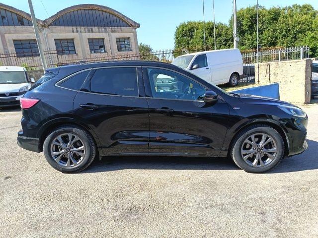 FORD Kuga 1.5 EcoBlue 120 CV 2WD ST-Line