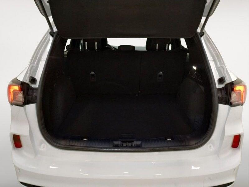 Ford Kuga 1.5 ecoblue ST-Line 2wd 120cv