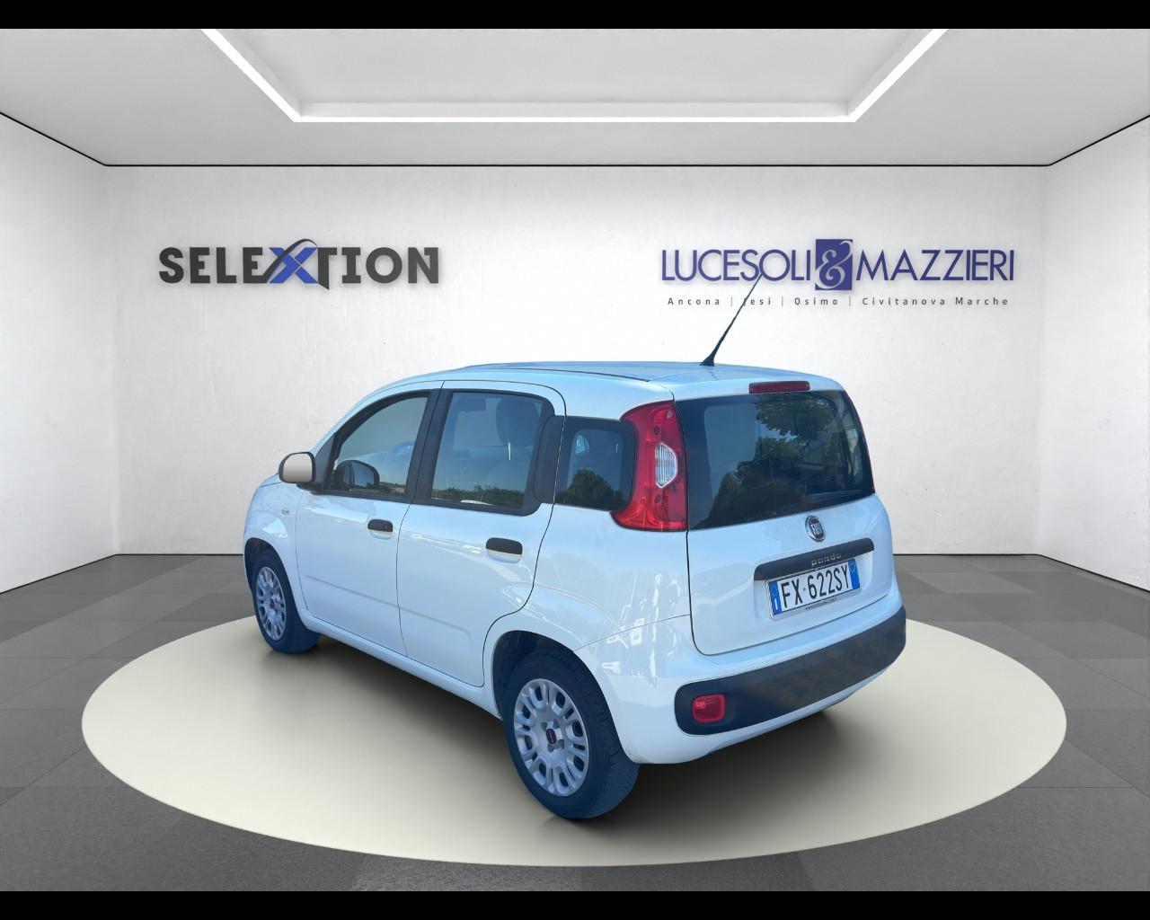 FIAT Panda 3ª serie - Panda 1.2 Easy