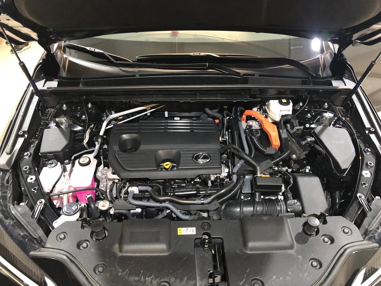 Lexus NX 300h NX Plug-in 4WD Luxury