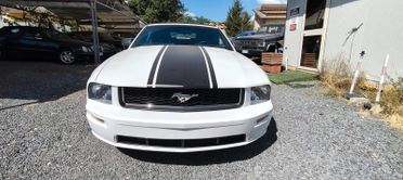Ford Mustang 4.0 cc Shelby