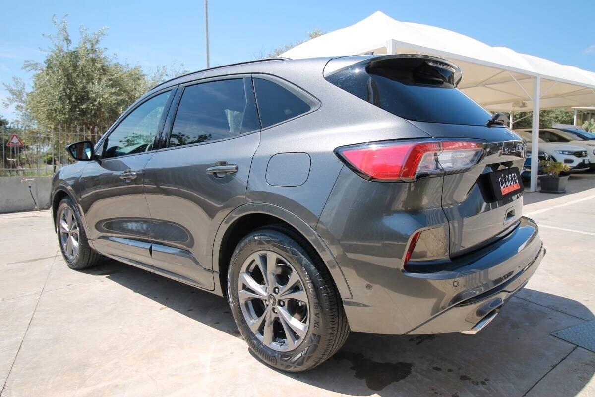 Ford Kuga 1.5 EcoBlue 120 CV auto ST-Line |2022