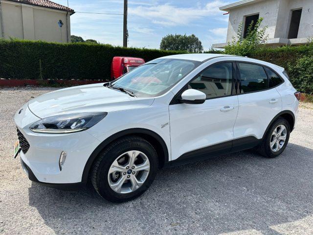 FORD Kuga 1.5 EcoBlue 120 CV aut. 2WD Connect