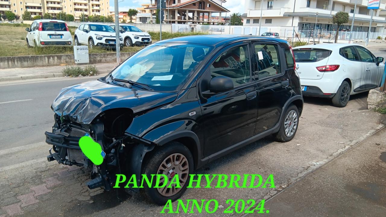 Fiat New Panda incidentata sinistrata mondialcars 024