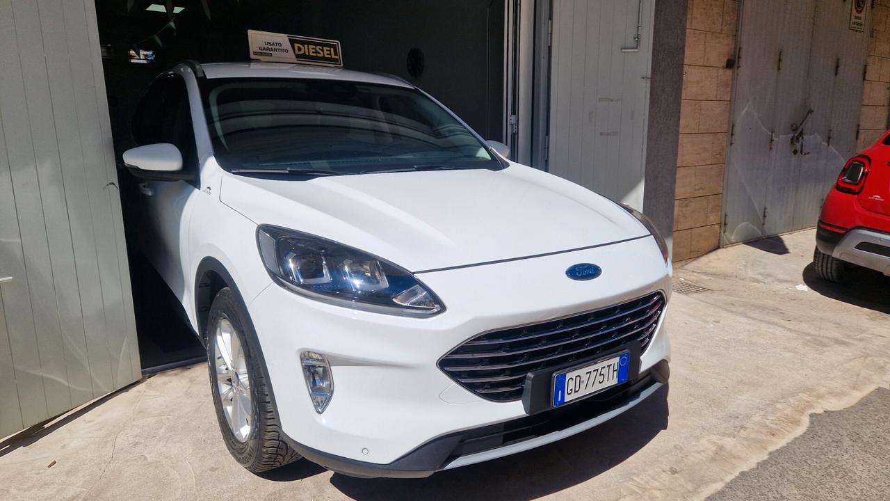 Ford Kuga 1.5 EcoBlue 120 CV aut. 2WD Titanium Business