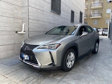 LEXUS UX Full Electric UX Hybrid Business