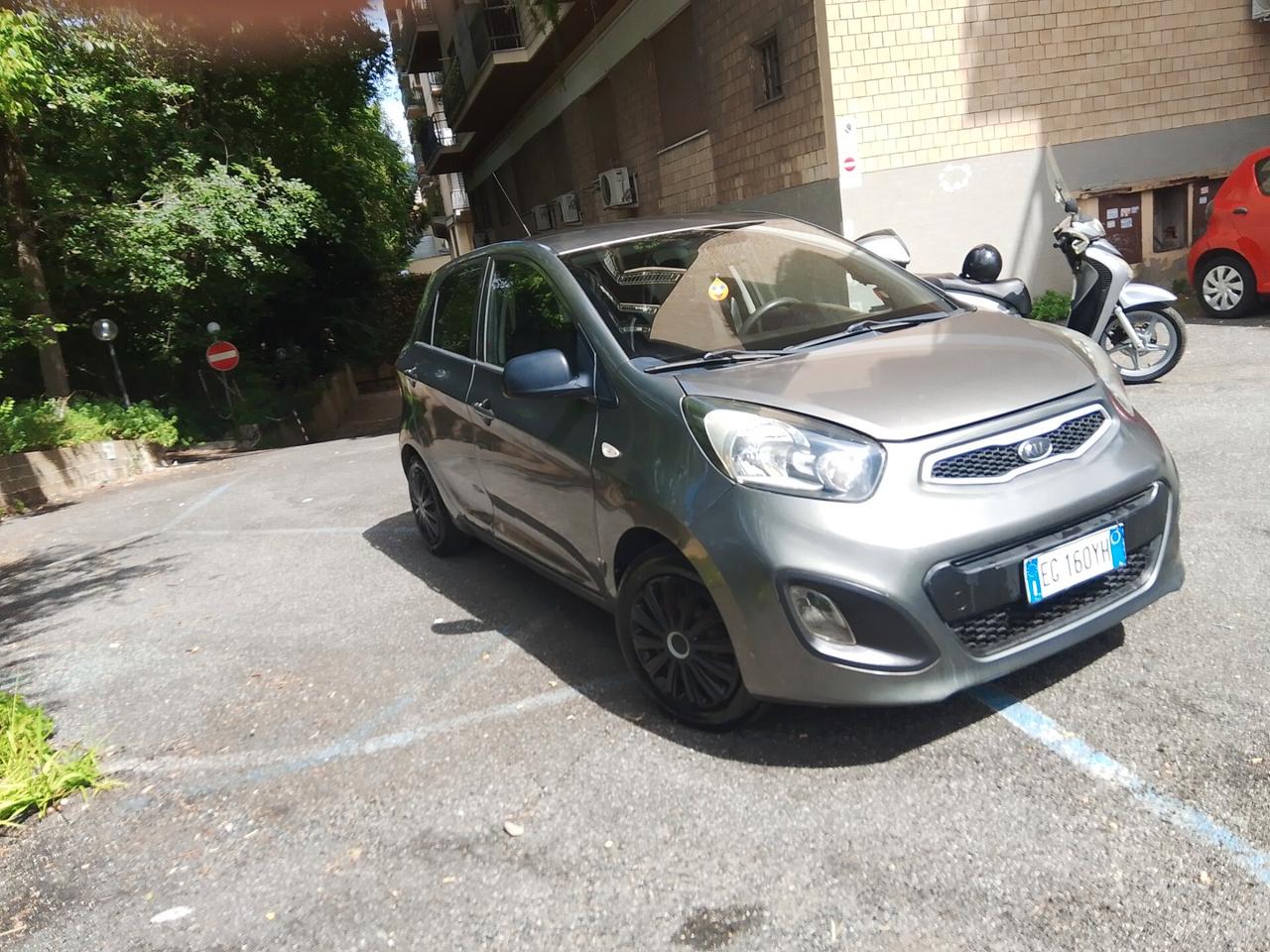 Kia Picanto 1.0 12V 5 porte City