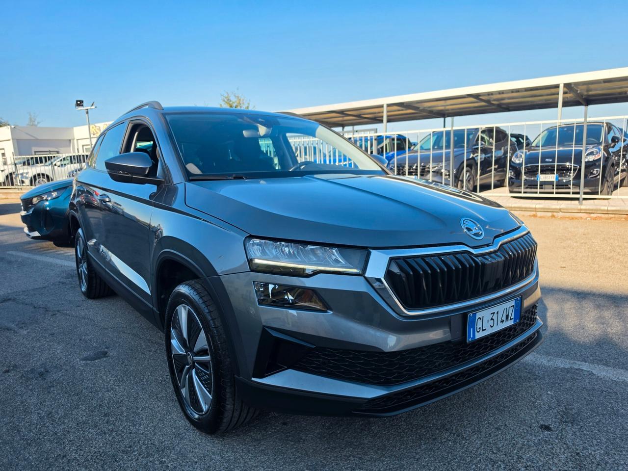 Skoda Karoq 2.0 TDI SCR 115 CV Executive