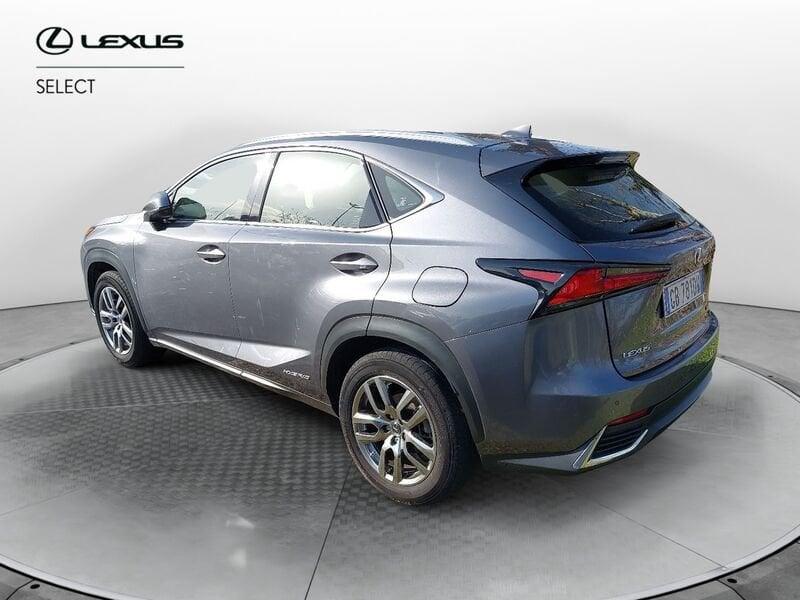 Lexus NX Hybrid 4WD Premium