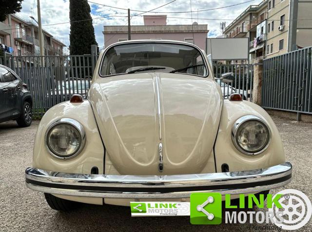 VOLKSWAGEN Maggiolino 11/D11