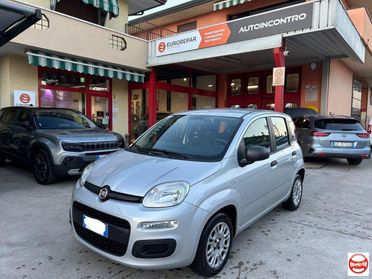 FIAT - Panda 1.2 Easy s&s 69cv my19