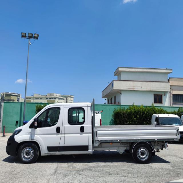 FIAT DUCATO MAXI 35 LH1 2.3 MJT CASSONE 7 POSTI - 2020