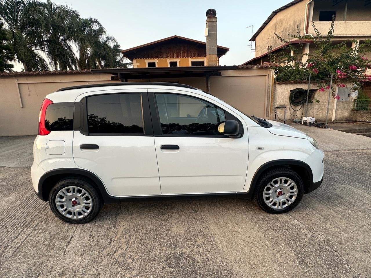Fiat Panda 1.0 FireFly S&S Hybrid