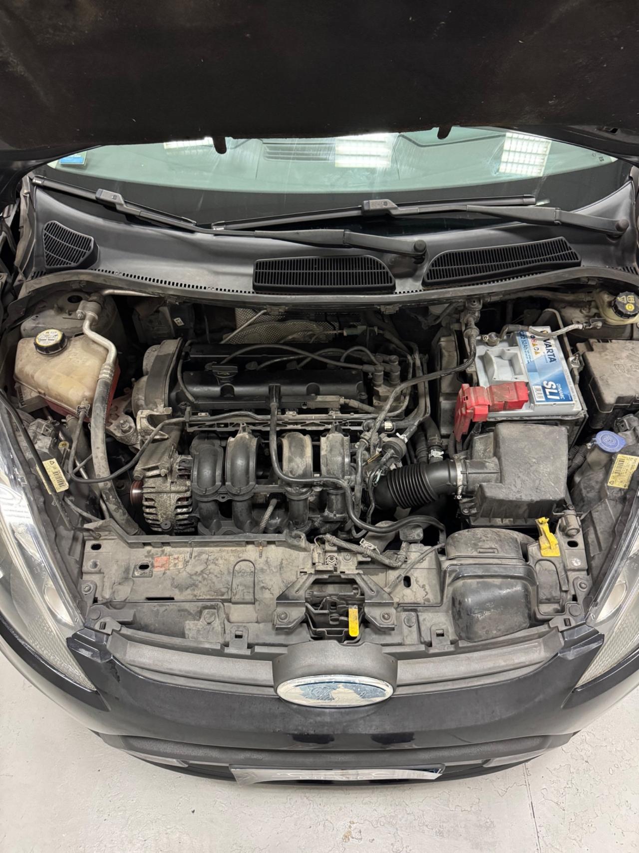 Ford Fiesta 1.2 82 CV 5 porte Titanium