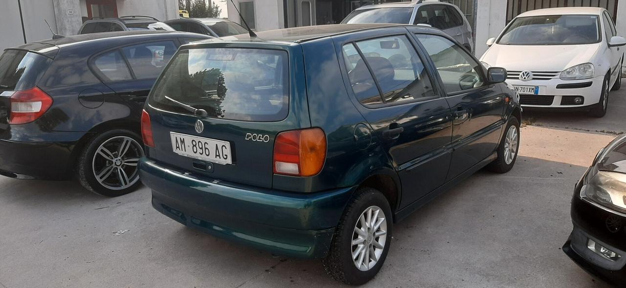 Volkswagen Polo 1.3 cat 5 porte