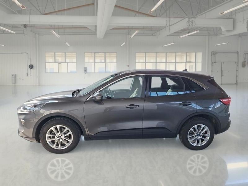 FORD KUGA 1.5 ECOBLUE 120 CV 2WD TITANIUM BUSINESS AUTO SUV
