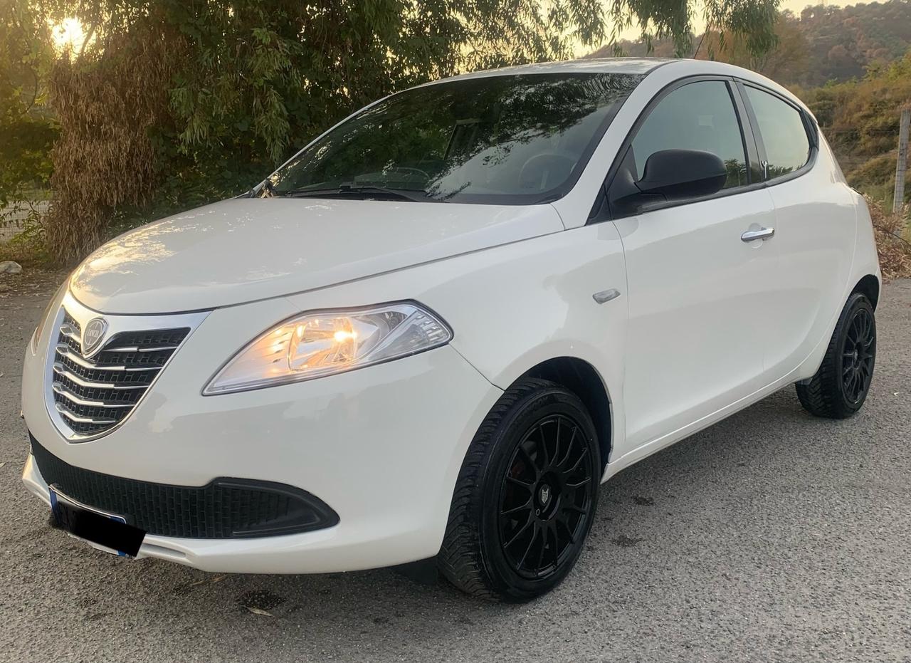 Lancia Ypsilon 1.3 MJT 16V 95 CV 5 porte S&S Platinum
