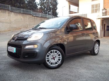 Fiat New Panda 1.2 EasyPower Easy GPL Originale Uniproprietario Euro 6