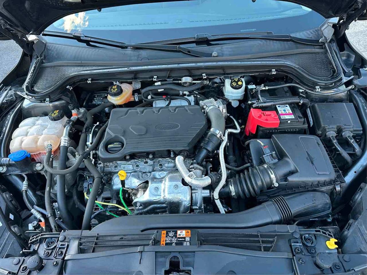 Ford Focus 1.5 EcoBlue 120 CV 5p. Business