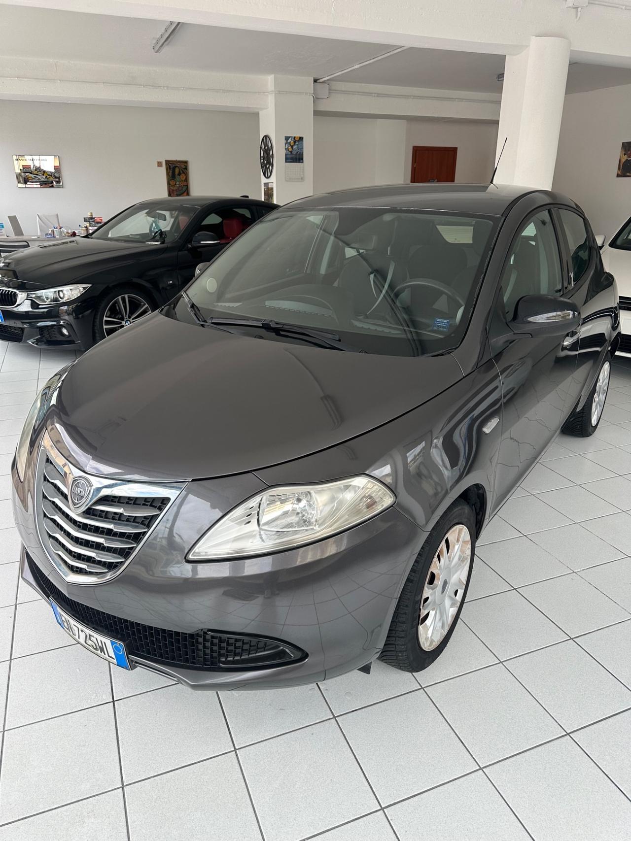 Lancia Ypsilon 1.3 MJT 16V 95 CV 5 porte S&S Platinum