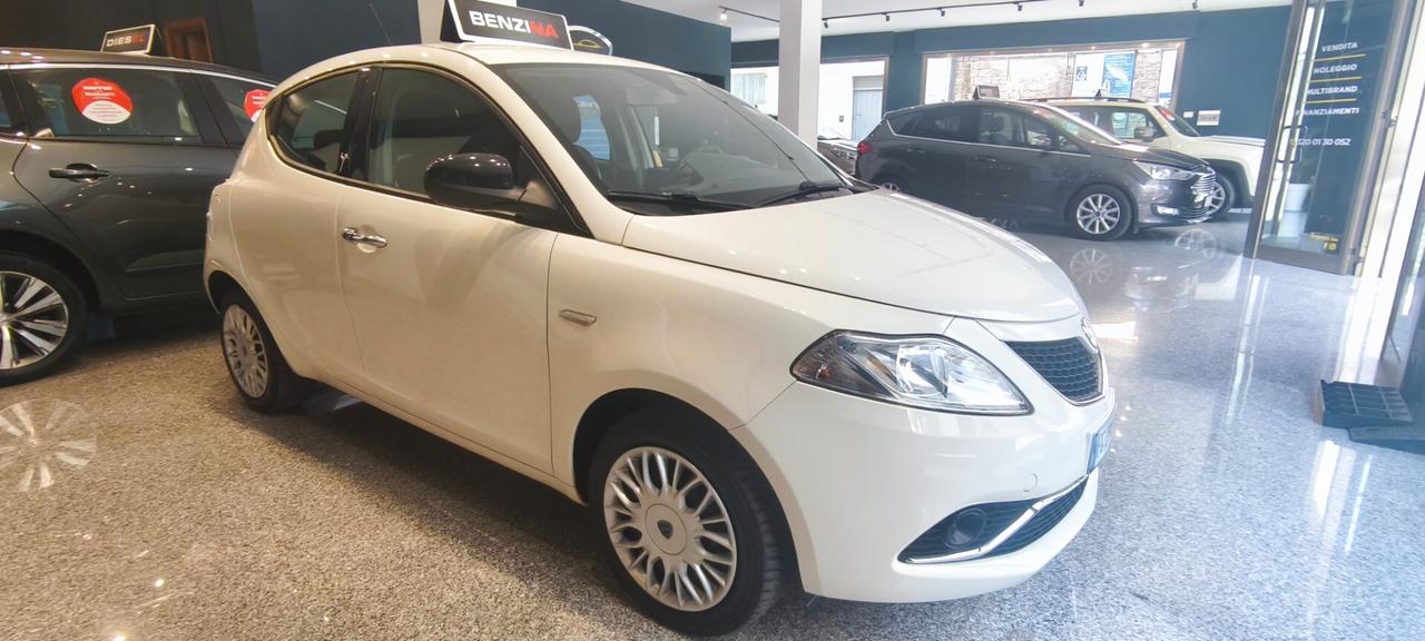 Lancia Ypsilon 1.2 69CV Gold SENSORI 2016