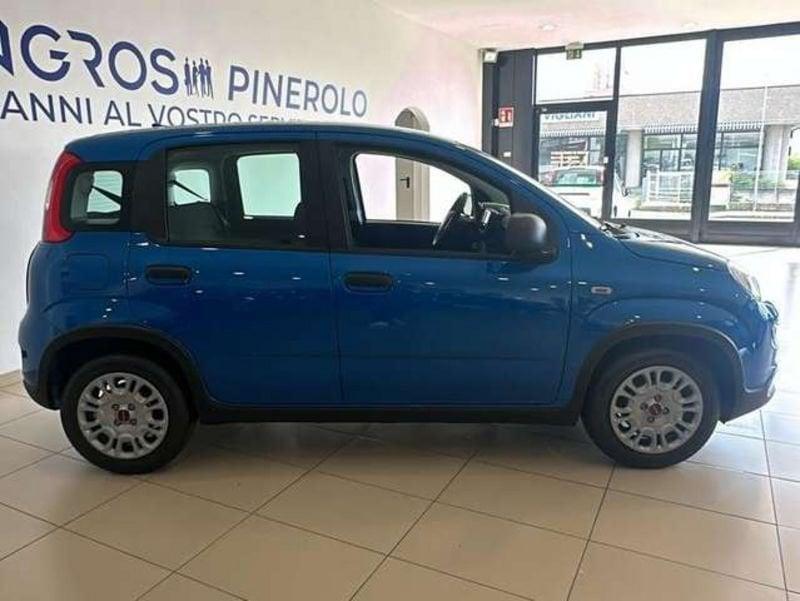 FIAT Panda 1.0 70cv hybrid