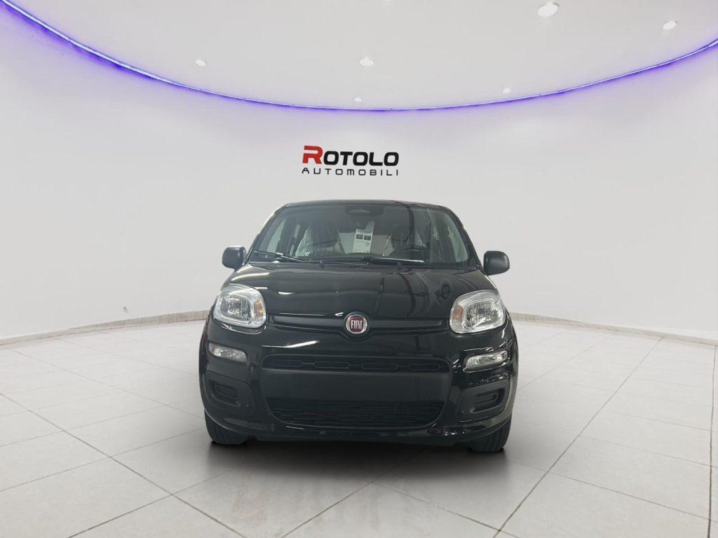 FIAT Panda 3ª serie Panda 1.0 FireFly S&S Hybr...