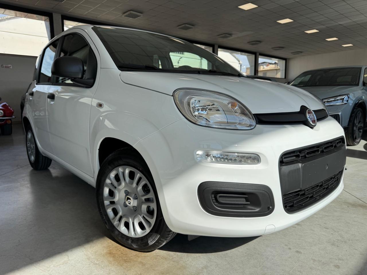 Fiat Pandina 1.0 firefly hybrid Icon s&s 65cv