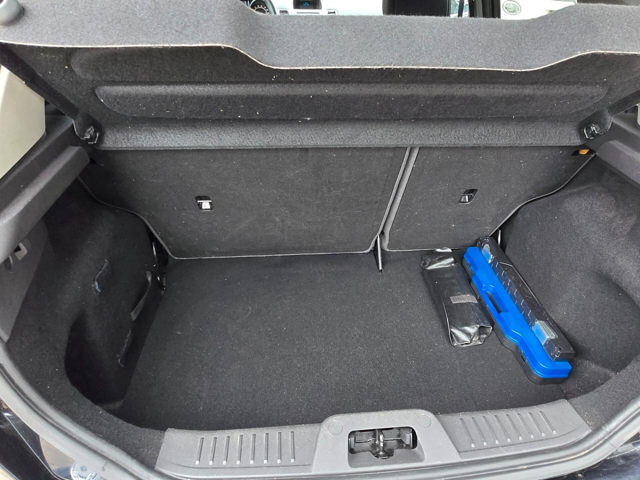 Ford Fiesta 1.5 TDCi 75CV 5 porte Titanium del 2013