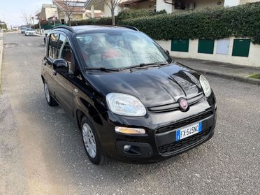 Fiat Panda 1.2 Lounge *NEOPATENTATI*