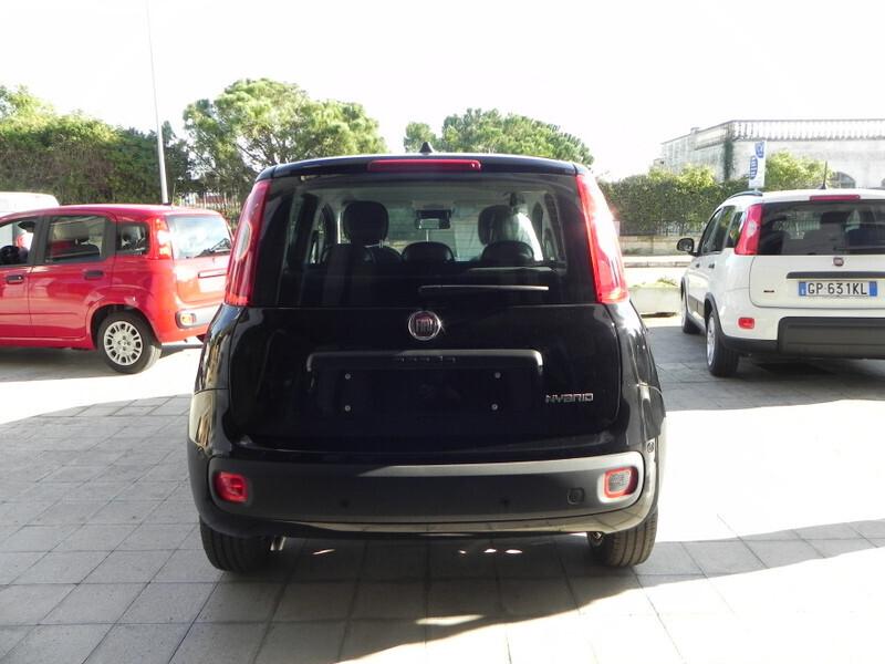 Fiat Panda NEW MY 25 1.0 FireFly S&S Hybrid 70 cv