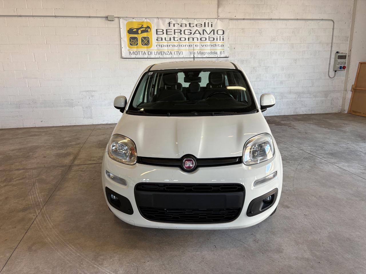 Fiat Panda 1.2 Lounge 5 POSTI Cinghia & Frizione Nuove
