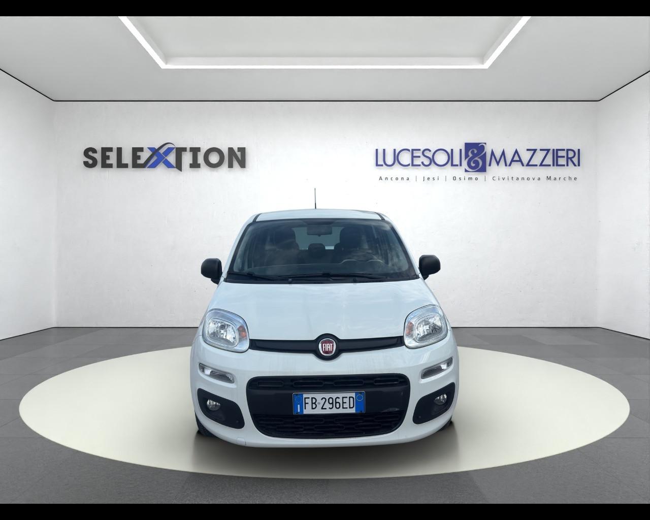 FIAT PANDA - Panda 1.2 Easy