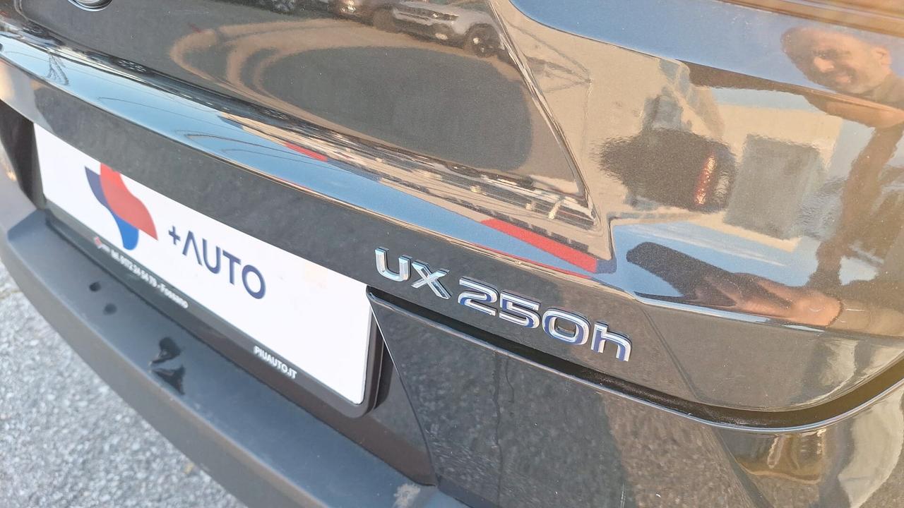Lexus UX 250h Hybrid Business SOLI KM 43000 !!!!