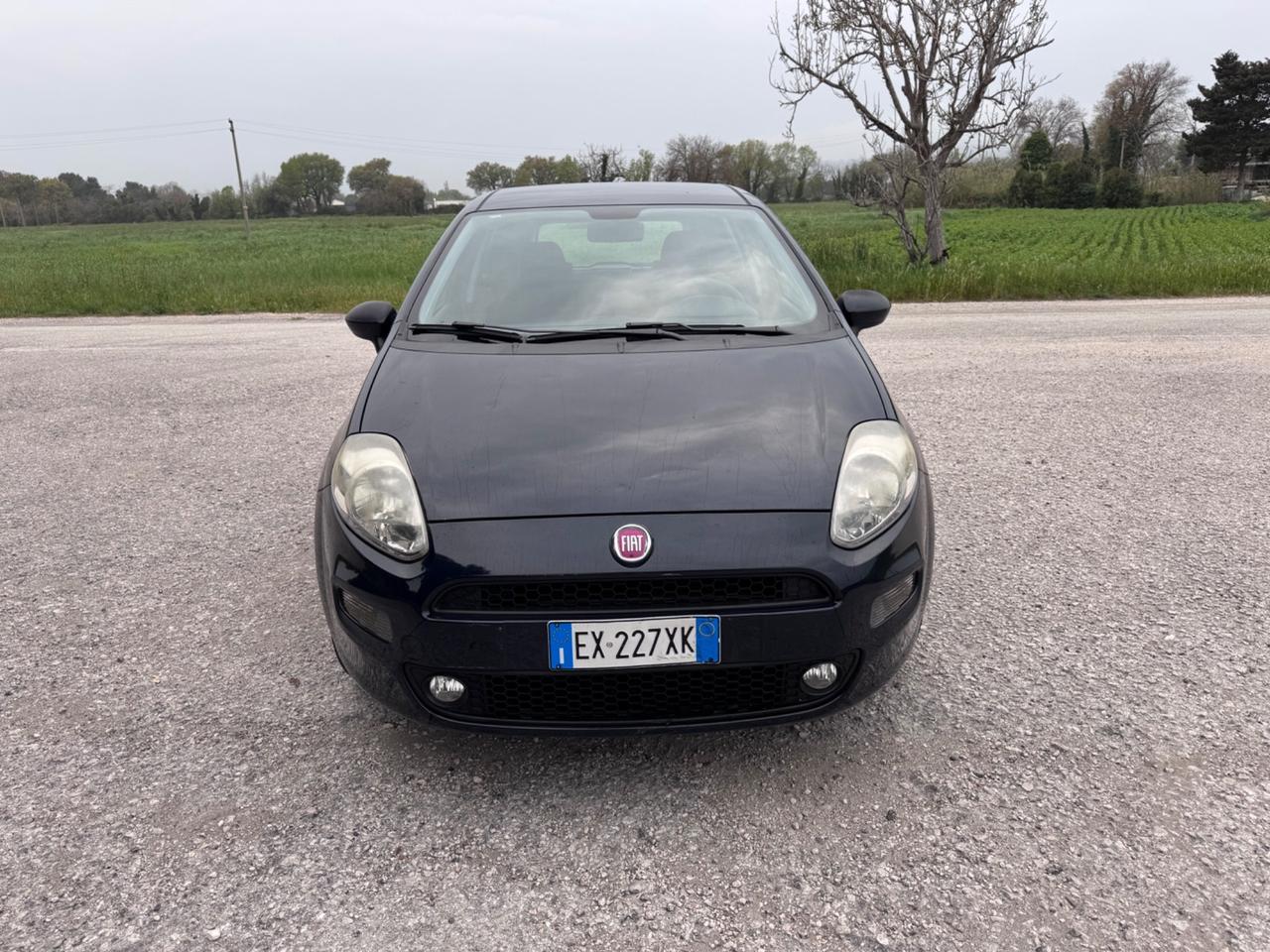 Fiat Punto 1.2 8V 5 porte Street