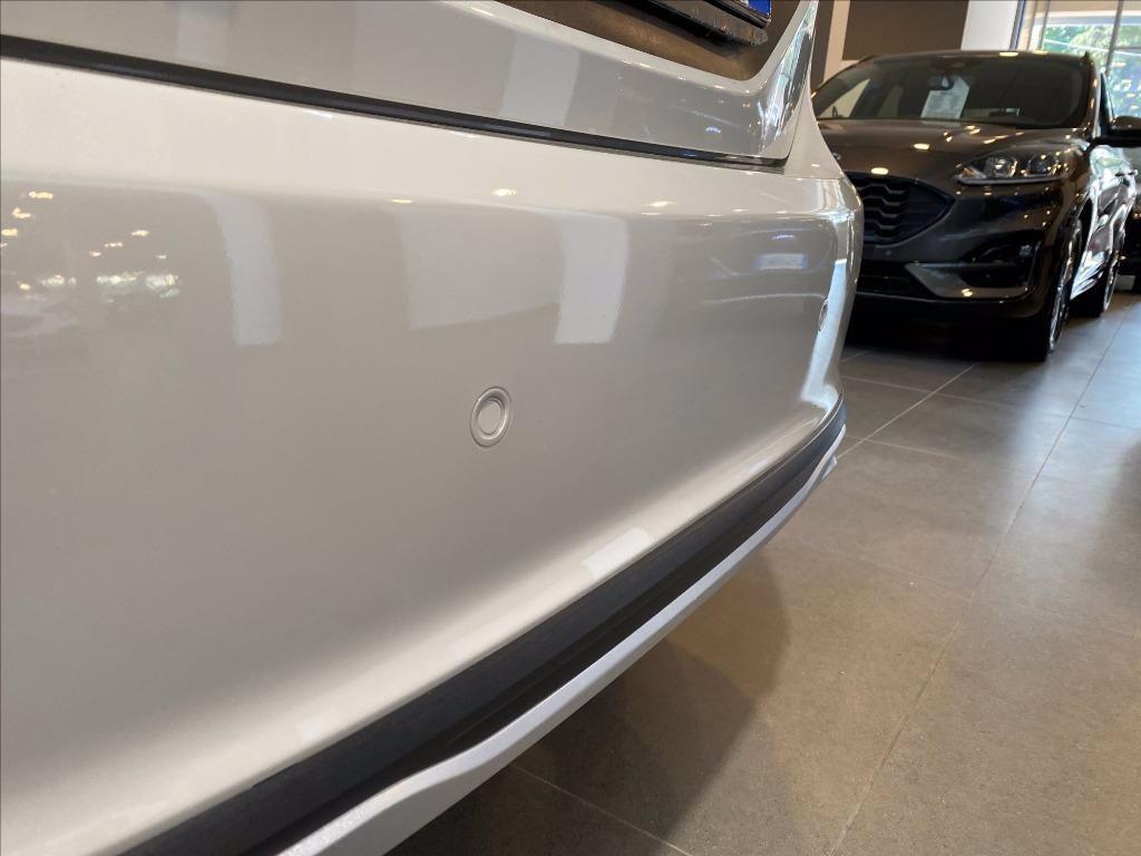 FORD Fiesta Active 1.0 ecoboost s&s 100cv my19.5 del 2019