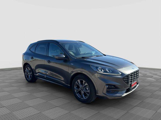 FORD Kuga Kuga 1.5 EcoBlue 120 CV aut. 2WD ST-Line