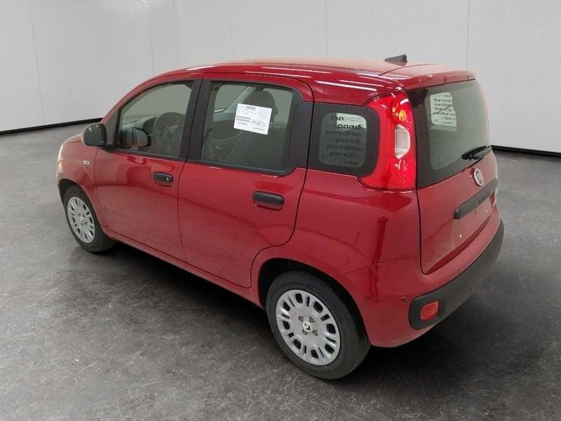 FIAT Pandina 1.0 firefly hybrid Icon s&s 70cv 5p.ti
