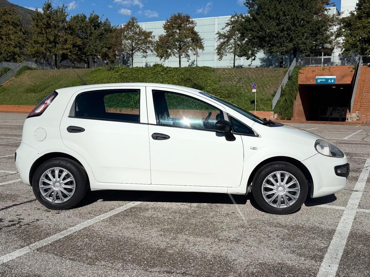 Fiat Punto Evo 1.4 5 porte Active OK NEOPATENTATI