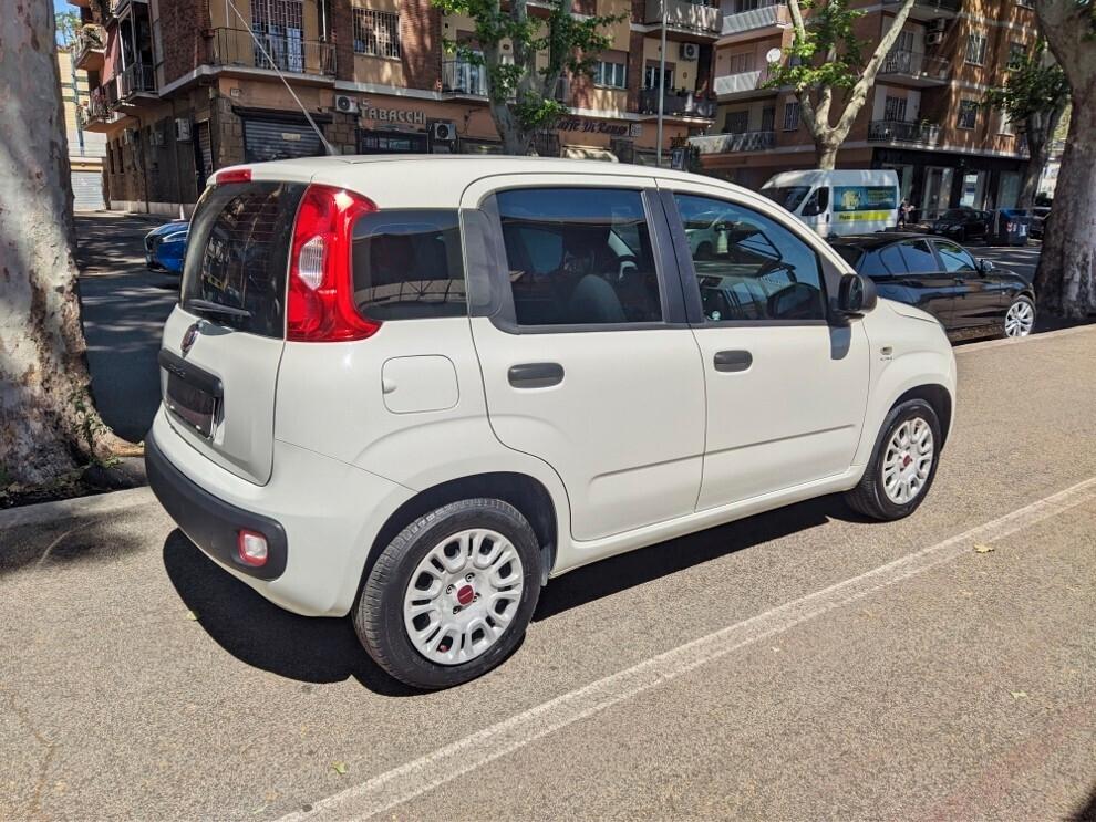 Fiat Panda 1.2 GPL PREZZO VERO DISTRIBUZIONE NEW BLOCK SHAFT