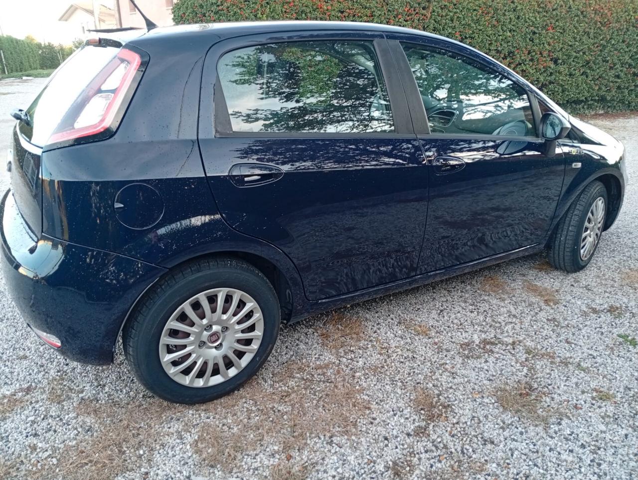 Fiat Punto 1.3 MJT II 75 CV 5 porte AUTOCARRO