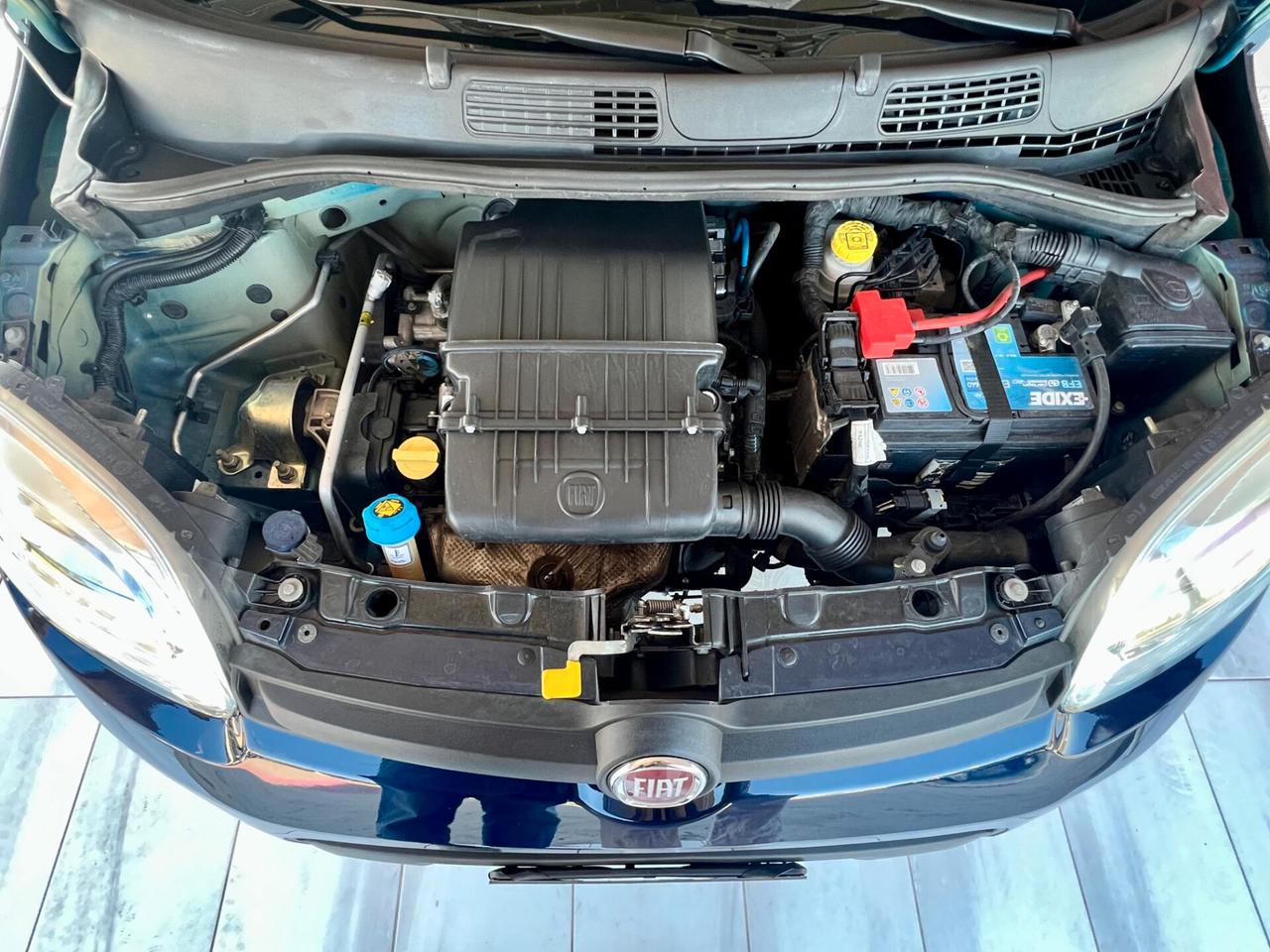 FIAT Panda 3ª serie Panda 1.2 Lounge