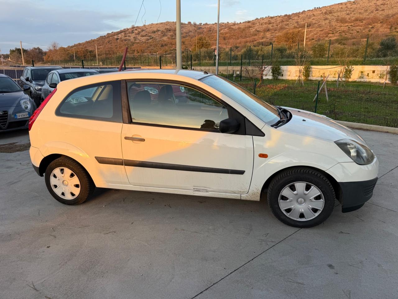 Ford Fiesta 1.4 TDCi 3p. Van