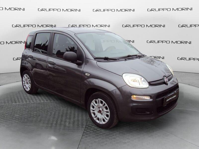 FIAT Panda Panda 1.2 Pop