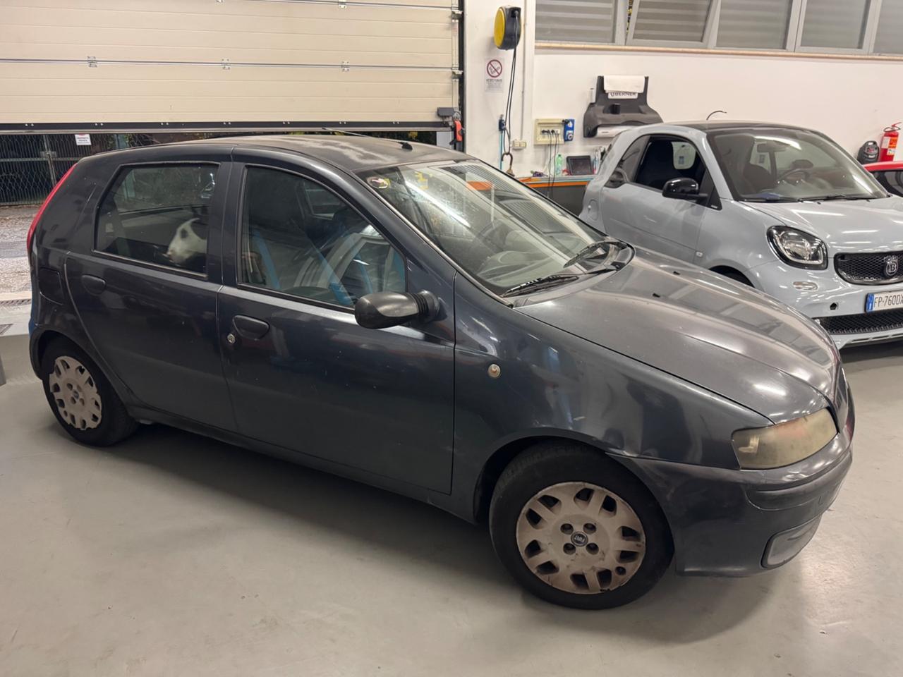 Fiat Punto 1.2i cat 5 porte Verve
