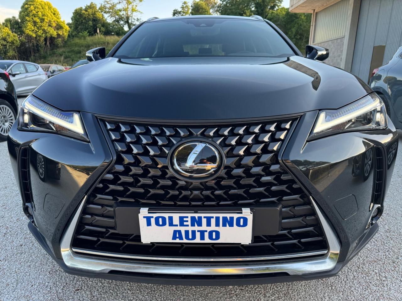 Lexus UX 250H 2.0 Hybrid 145Cv Design 2WD